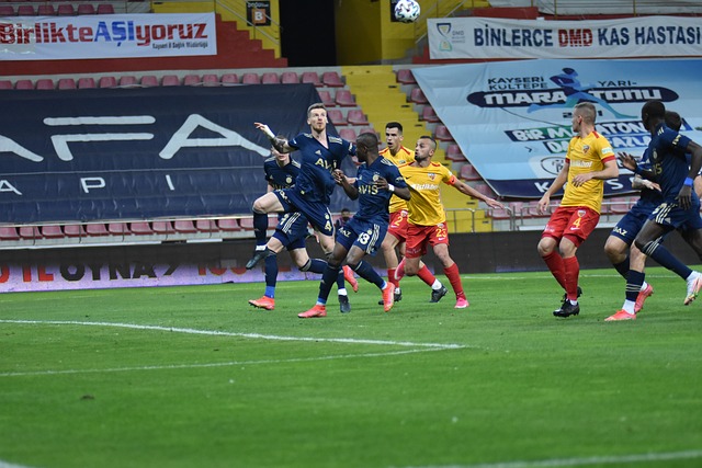 的體育明星 的體育明星