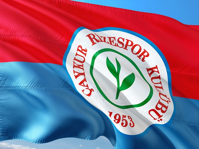 酒駕在全球 酒駕在全球