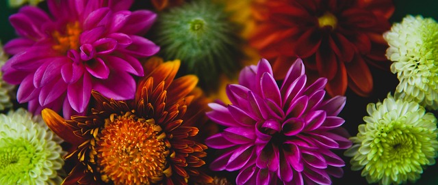 发了广泛讨 发了广泛讨