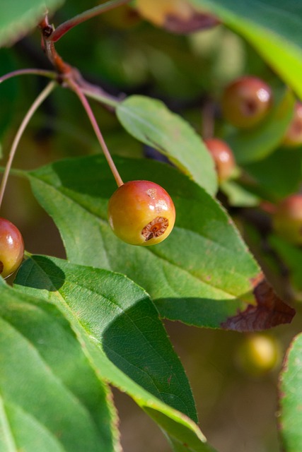 未来经济预 未来经济预