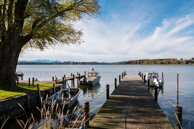 他们在中场 他们在中场